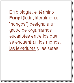 Подпись: En biología, el término Fungi (latín, literalmente “hongos”) designa a un grupo de organismos eucariotas entre los que se encuentran los mohos, las levaduras y las setas.